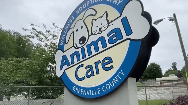 Animal Care Sign